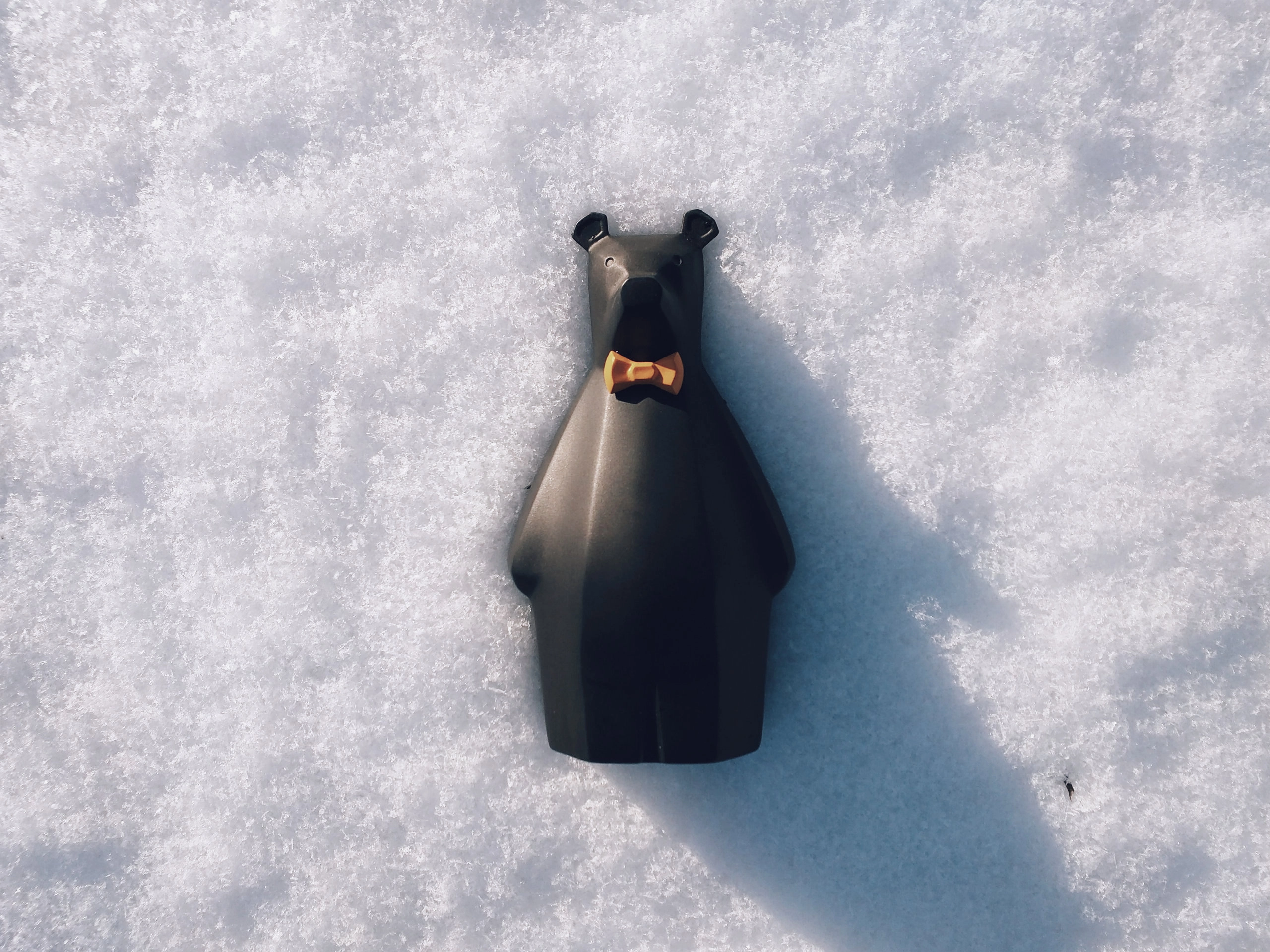 ROSCO in the snow