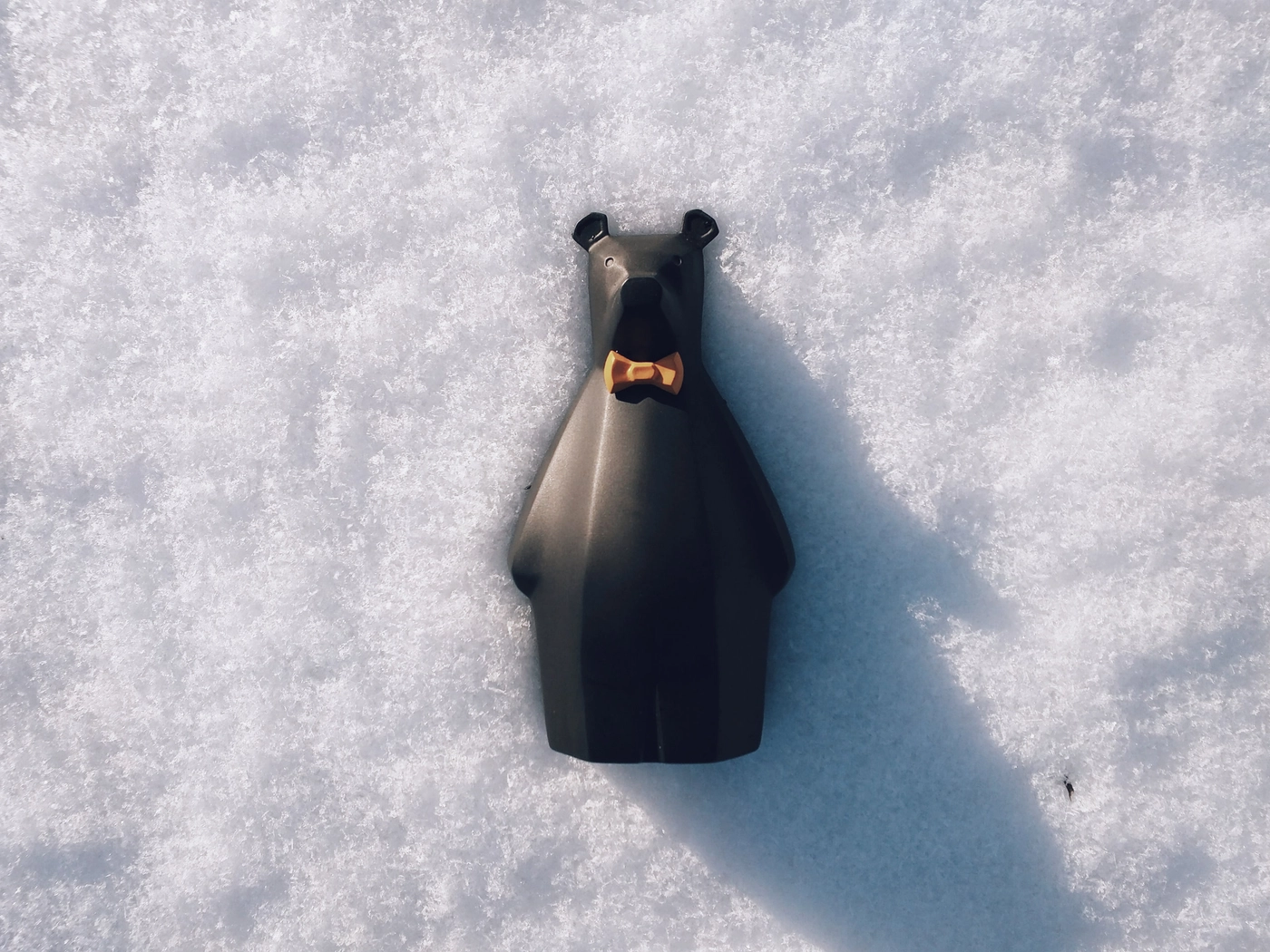 ROSCO in the snow