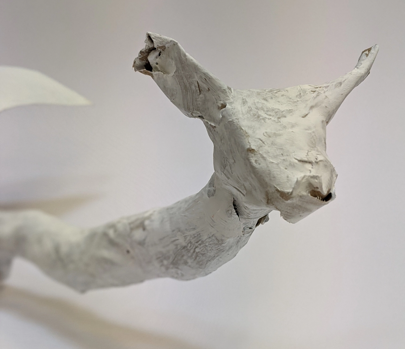 Close-up of a cartonería animal still unpainted, layers of paper strips pasted by hand over the shape